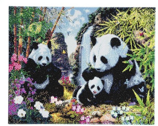 Diamond Painting Panda Vallei 40 x 50 Full