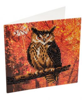 Diamond Painting Uil kaart 18 x 18