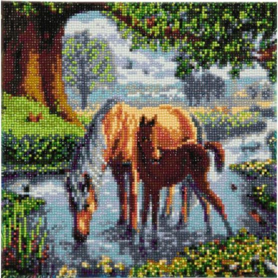 Fell Ponies 30 x 30 Full