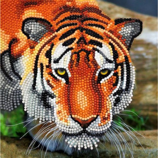 Diamond Painting Tiger 18 x 18 kaart Crystal Art 0