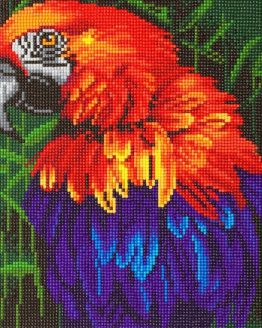 Diamond Painting Tropical Bird Papegaai Parrot 30 x 30 Full