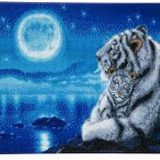Diamond Painting Witte Tijgers Lights 40 x 50 Full