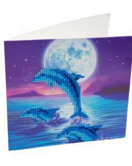 diamond painting dolfijn maan moonlight dolphin 18 x 18 kaart