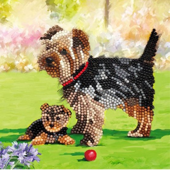 Diamond Painting Dog Yorkshire 18 x 18 kaart Crystal Art 0