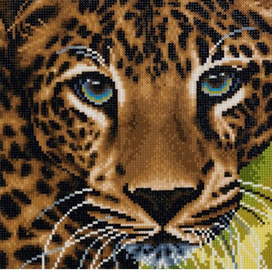 Diamond Painting Leopard Luipaard 30 x 30 full 0