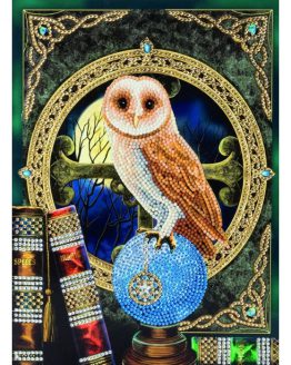 Diamond Painting Spell Keeper Owl 21 x 29 kaart Crystal Art Card