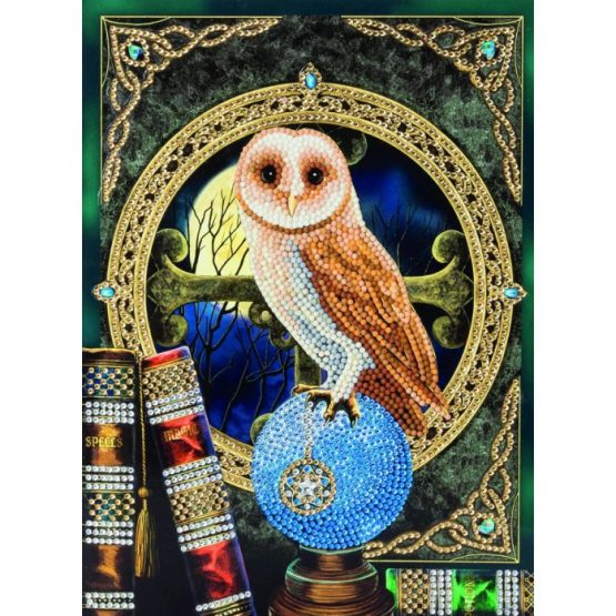 Diamond Painting Spell Keeper Owl 21 x 29 kaart Crystal Art Card