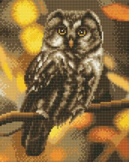 Diamond Painting Tawny Owl Uil 30 x 30 Full