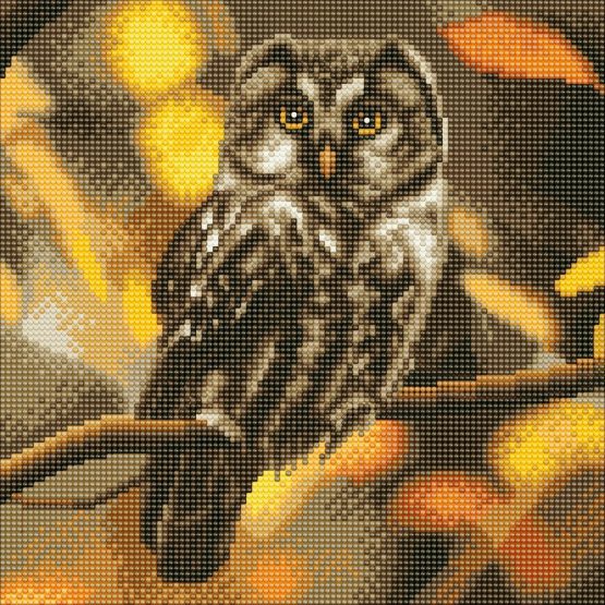 Diamond Painting Tawny Owl Uil 30 x 30 Full