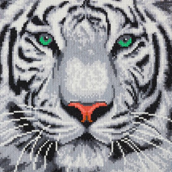 Diamond Painting White Tiger Witte Tijger 30 x 30 Full
