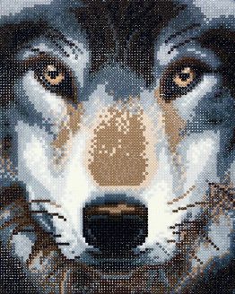 Diamond Painting Wolf 30 x 30 Full