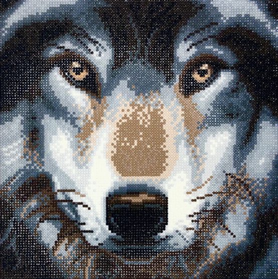 Diamond Painting Wolf 30 x 30 Full