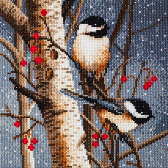 Diamond Painting Woodland Sprites 30 x 30 Full