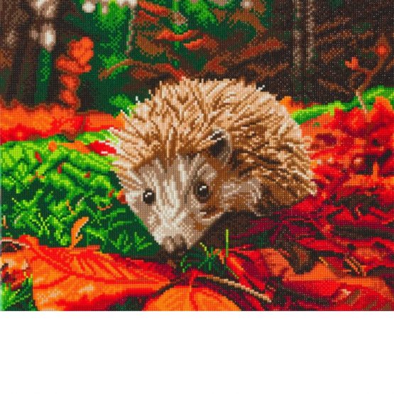 Diamond Painting Hedge Hog Egel 50 x 40 Full Painting 1