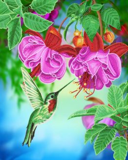 Hummingbird / Kolibrie