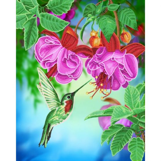 Hummingbird / Kolibrie