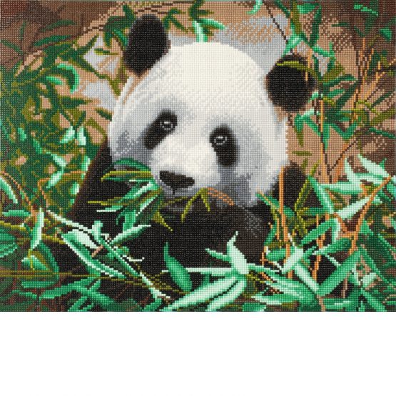 Diamond Painting Hungry Panda 50 x 40 Full Painting 1
