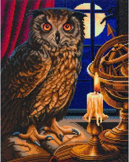 Diamond Painting The Astrologer Owl Uil 40 x 50 partial 1