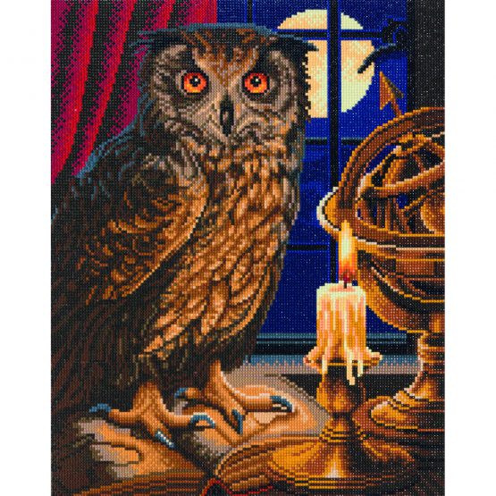 Diamond Painting The Astrologer Owl Uil 40 x 50 partial 1
