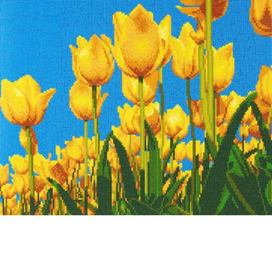 Diamond Painting Tulips Tulpen 50 x 40 Full Painting 1