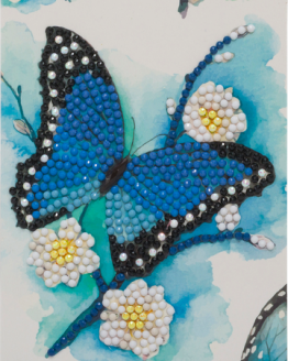 CCK-10 x15B1_Blue Butterfl Blauwe vlinder_001