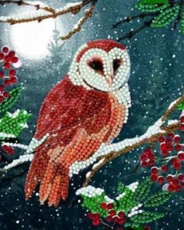 CCK-A65 Barn Owl Uil Partial Crystal Art Card 003