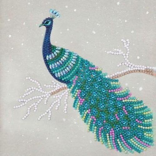 CCK-A67 Pretty Peacock Pauw Partial Crystal Art Card 001
