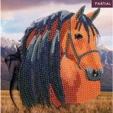 CCK-A70 Horse Partial Crystal Art Card 001