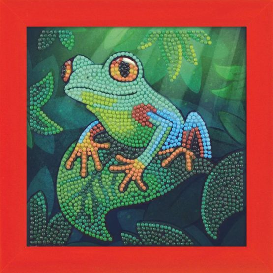 CAFBL-10 Tree Frog Kikker Crystal Art Frame 16 x 16 001