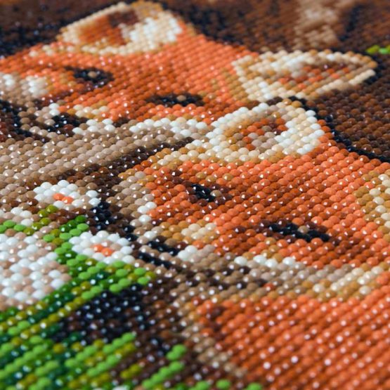 CAK-A116M Crystal Art 30 x 30 full 001
