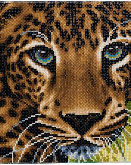 CAK-A66 Leopard Crystal Art 30 x 30 full 001