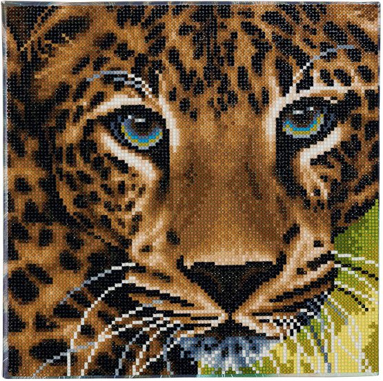 CAK-A66 Leopard Crystal Art 30 x 30 full 001