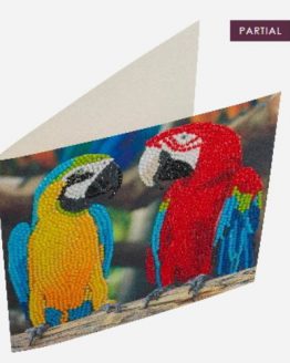 CCK-A76 Parrot Friends Partial Crystal Art Card 001