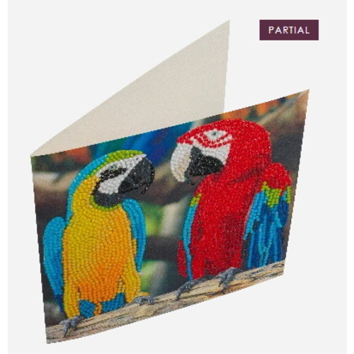 CCK-A76 Parrot Friends Partial Crystal Art Card 001