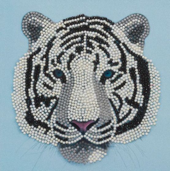 CCK-A77 White Tiger Head Partial Crystal Art Card 001