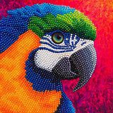 CCK-A86 Paradise Papegaai Crystal Art Card 001