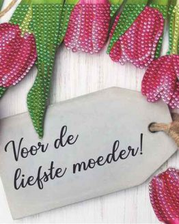 CCK-IT7 Liefste Moeder Crystal Art Card 001