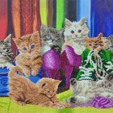CAK-A153L kitten Footwear Crystal Art 40 x 50 full 001