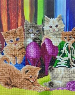 CAK-A153L kitten Footwear Crystal Art 40 x 50 full 001