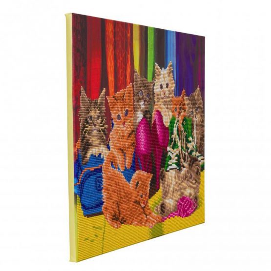 CAK-A153L kitten Footwear Crystal Art 40 x 50 full 001