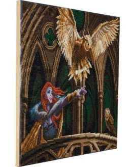 CAK-AST14 Owl Messenger Crystal Art 40 x 50 partial 001