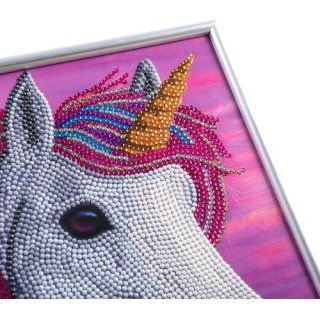 CAM-32 Crystal Art Diamond Painting Unicorn 004