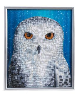 CAM-34 Crystal Art Diamond Painting Owl 001