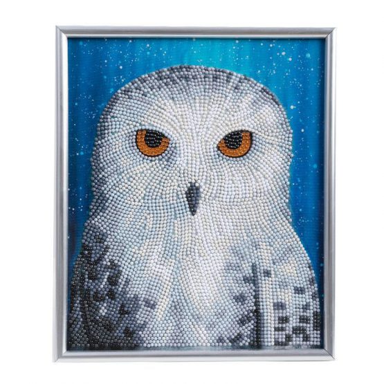CAM-34 Crystal Art Diamond Painting Owl 001